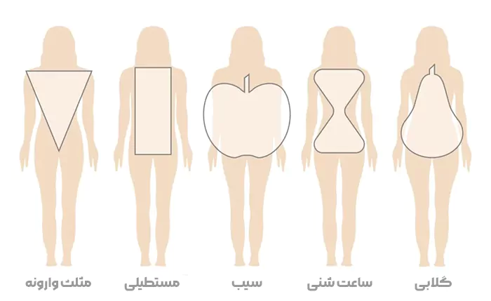 شکل کلی بدن انسان